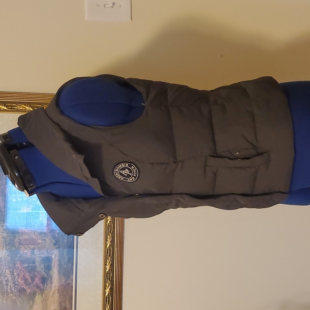 Abercrombie and Fitch puffer vest - Picture 4 of 6